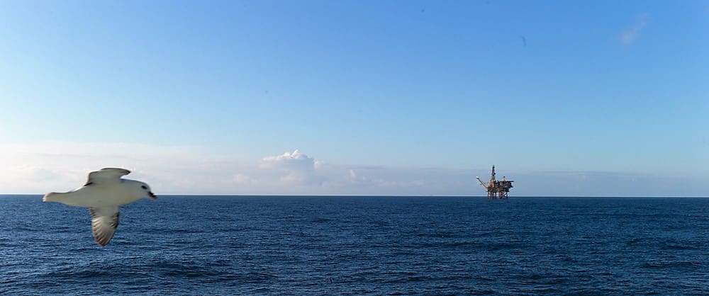 Oljesøl kan gi varige skader på økosystem i havet