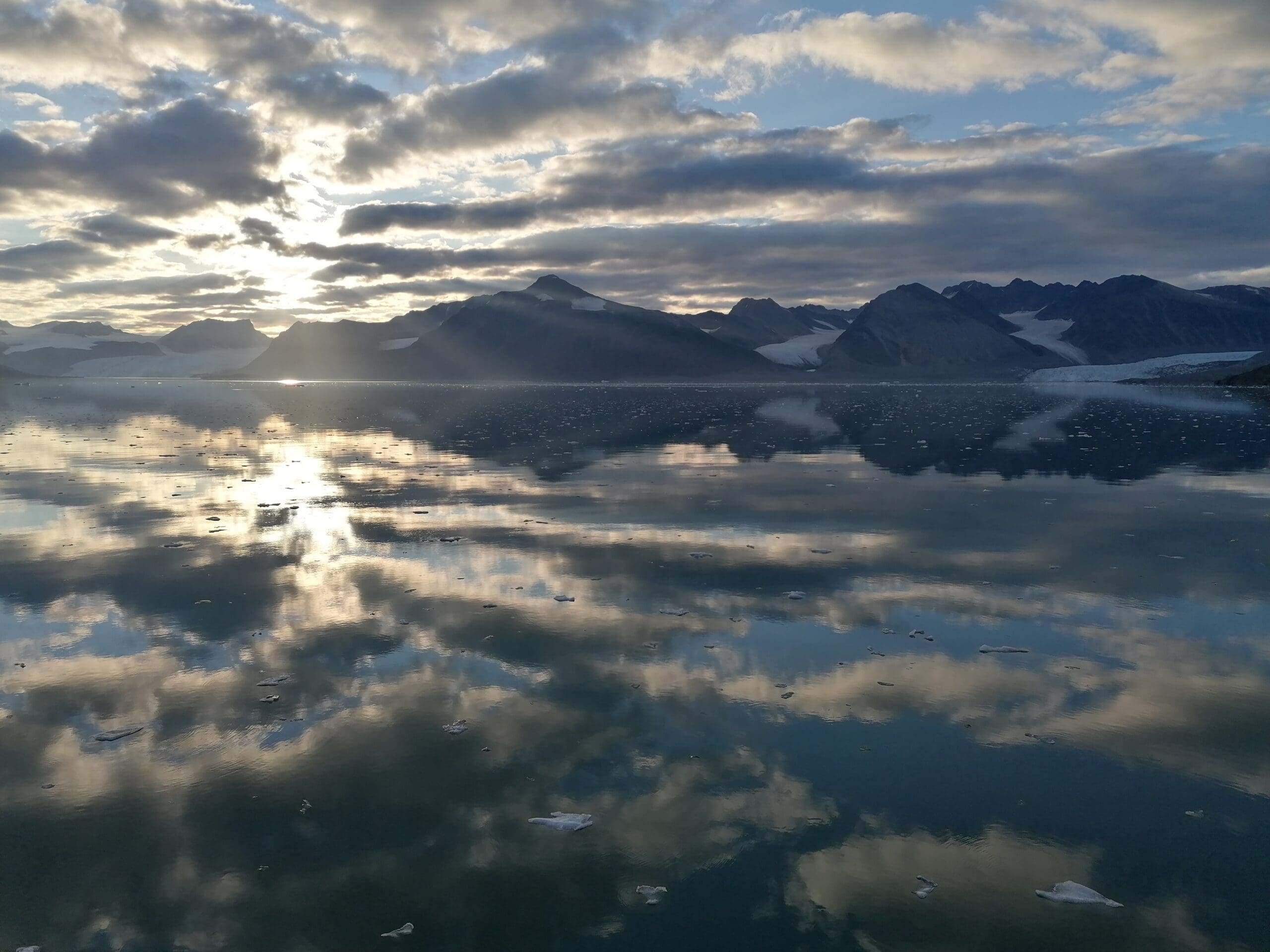Shedding light on plankton trends: seasonal pelagic monitoring in Kongsfjorden and Isfjorden
