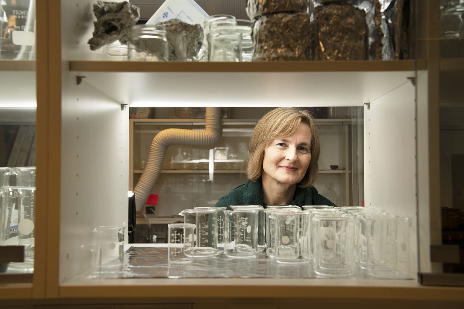 Profile: The team player