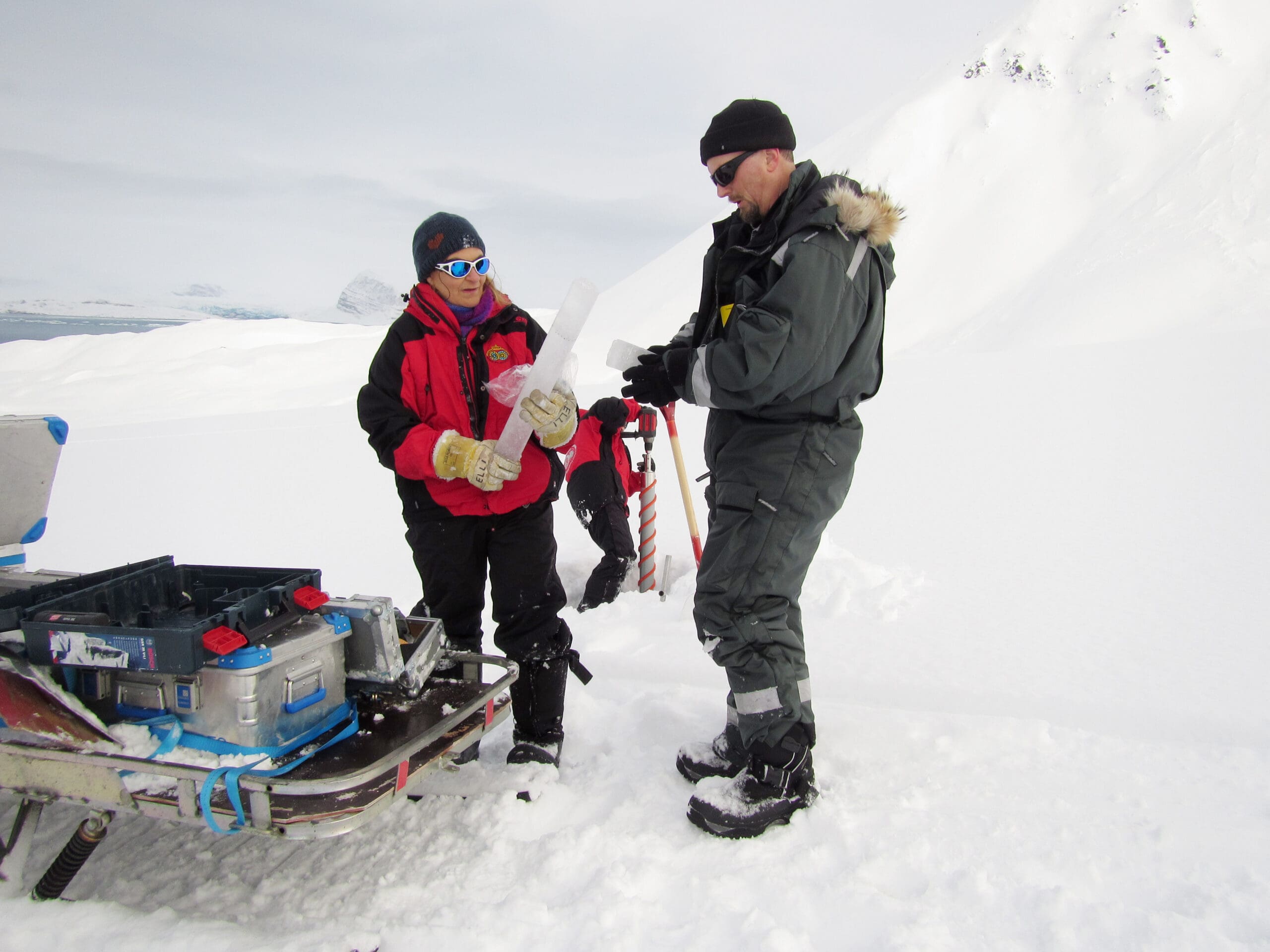 Birds of a feather flock together