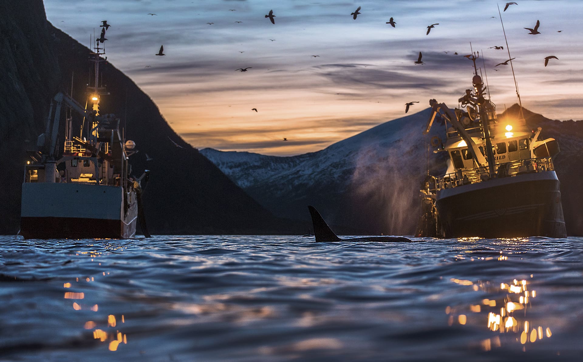 Slik fikk Norge så stort hav – og ble rikt