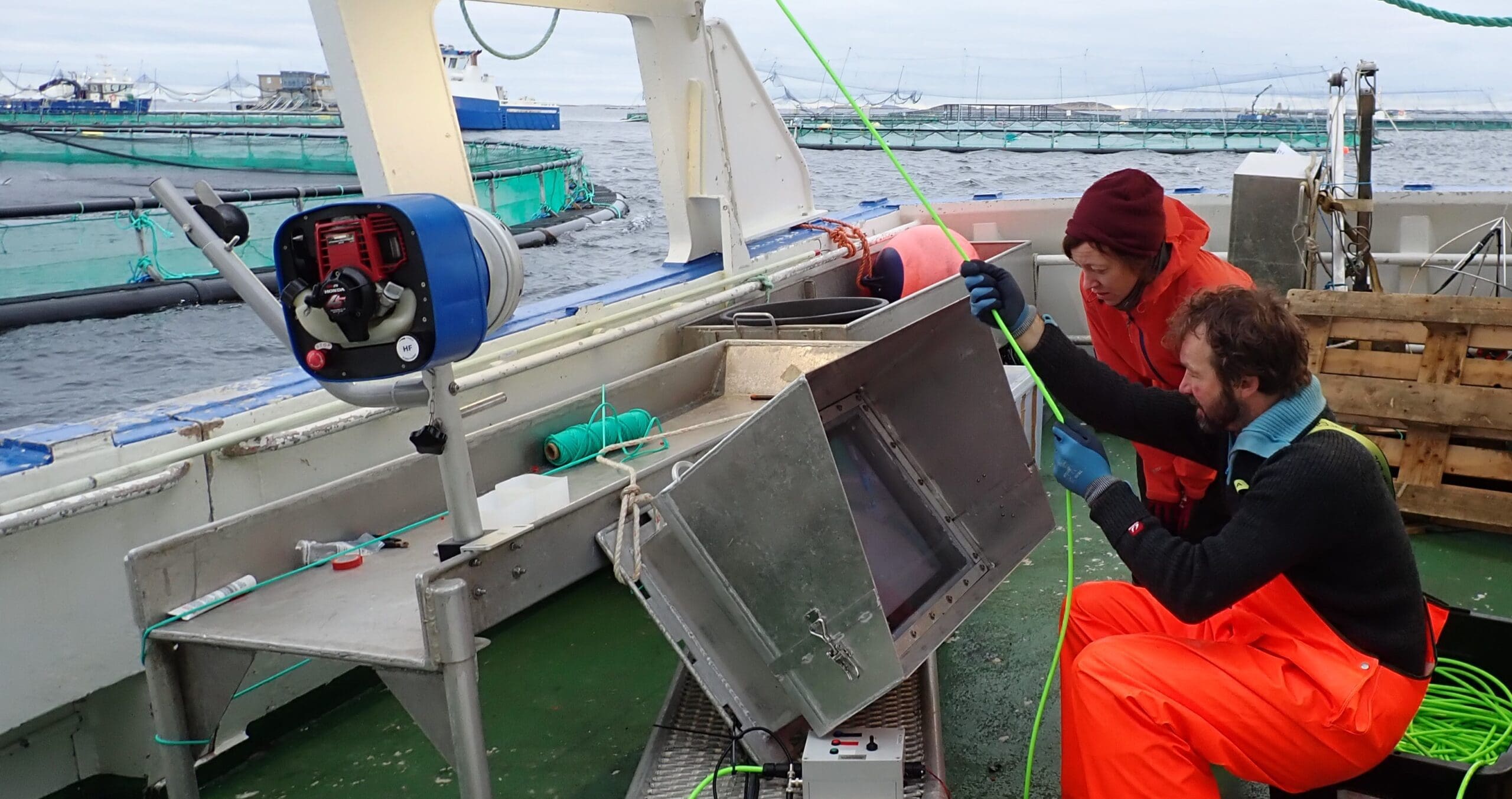 Nysgjerrige elever hjelper forskere – se videoene de lagde!