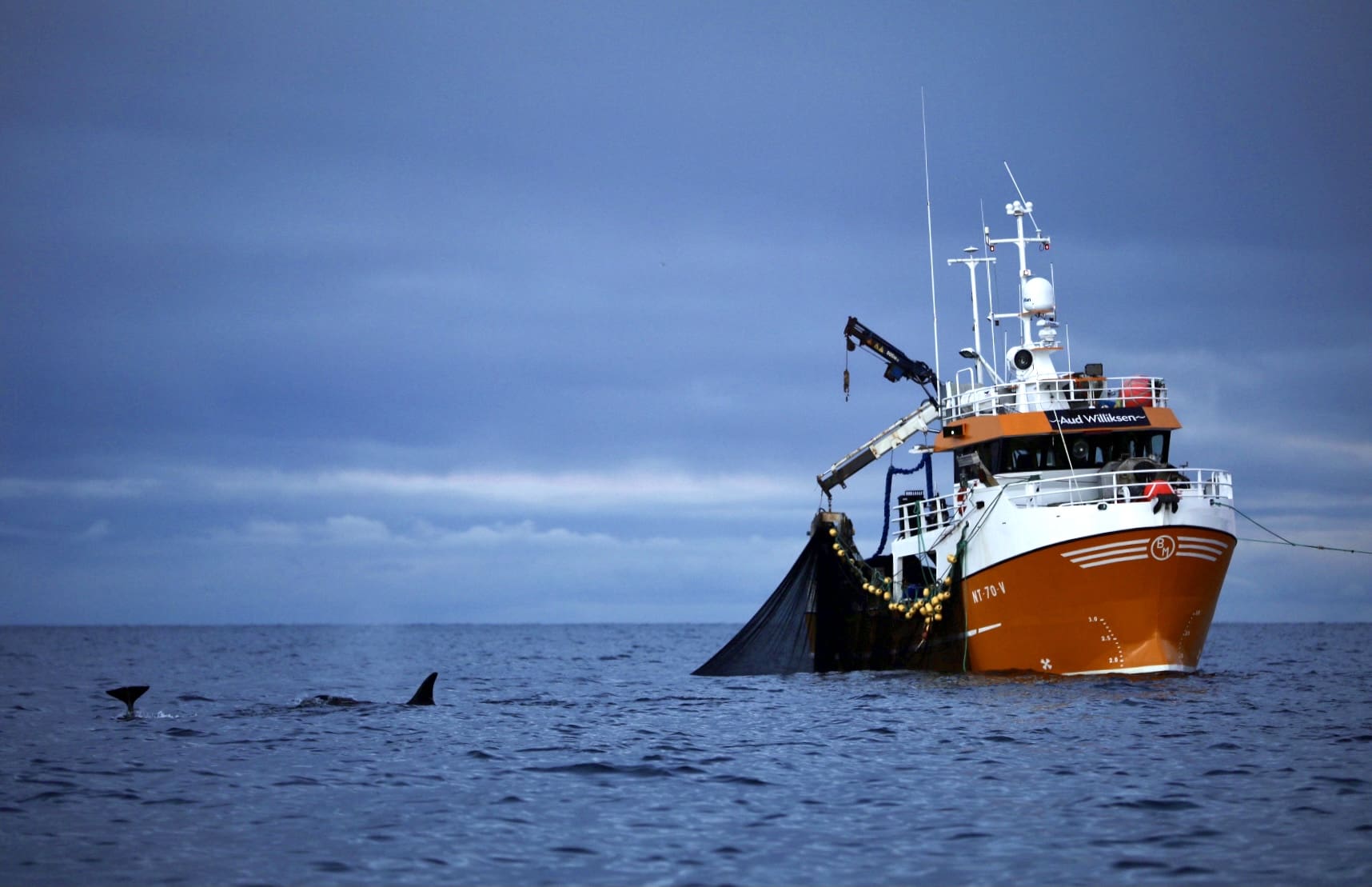 Klima og fisk – utfordringer i forvaltningen?