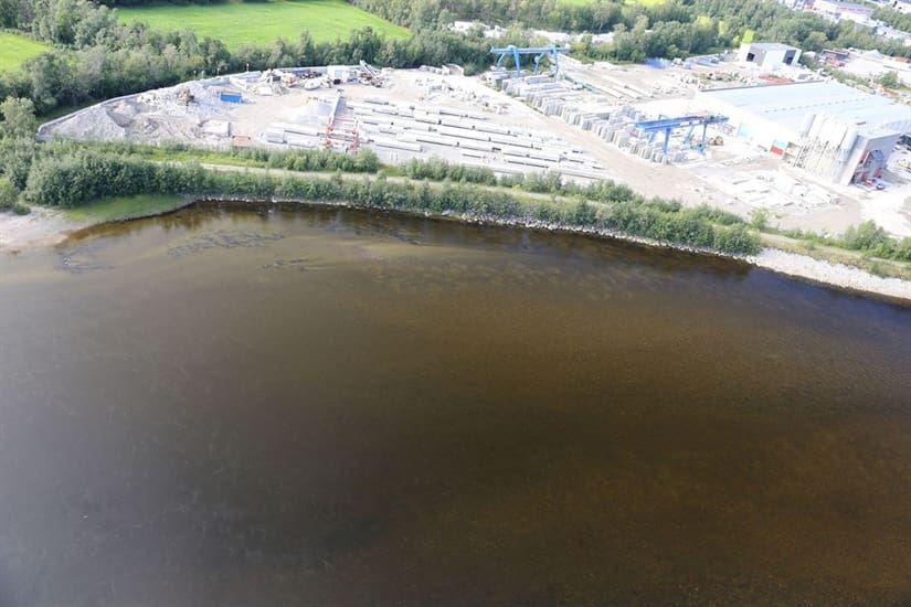 Flyfoto inn i kampen mot pukkellaksen