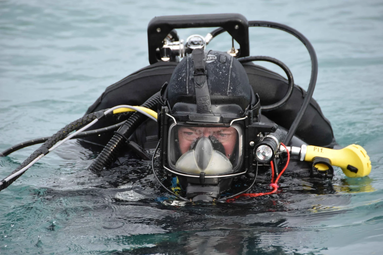 Dykking for vitenskapen: På jakt etter klimasvar i tangskogen