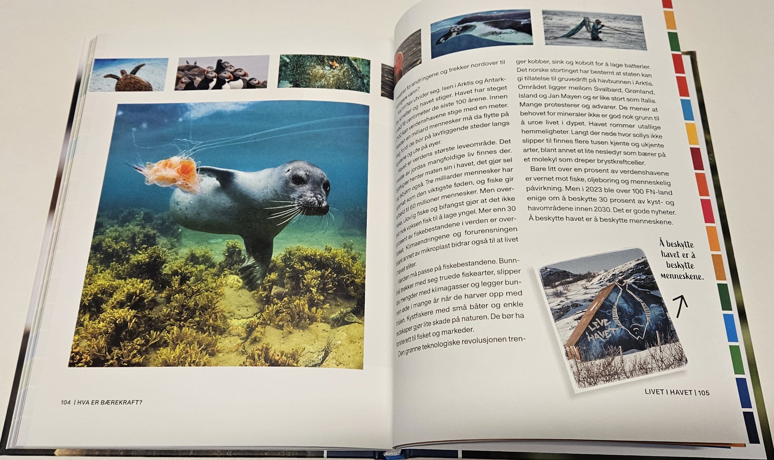 Bærekraftsboka, for de unge