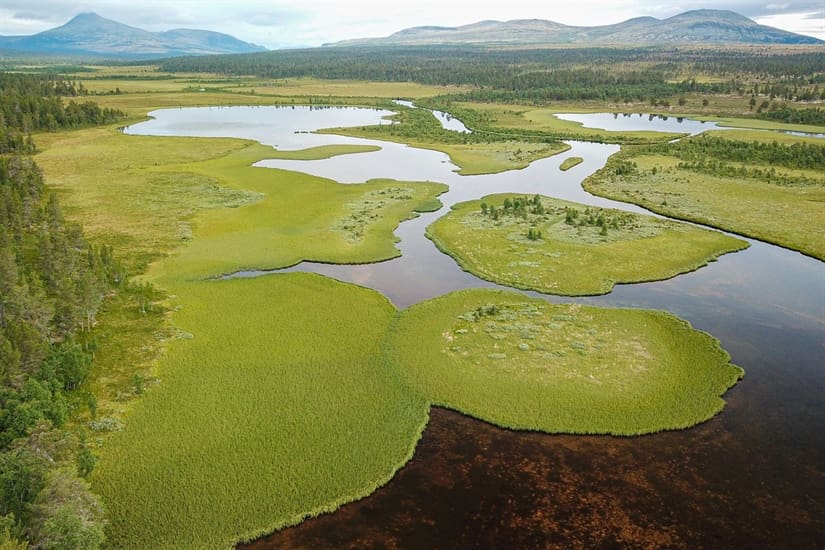 Bilde tilhørende arrangement Over 200 naturtyper står i fare for å gå tapt