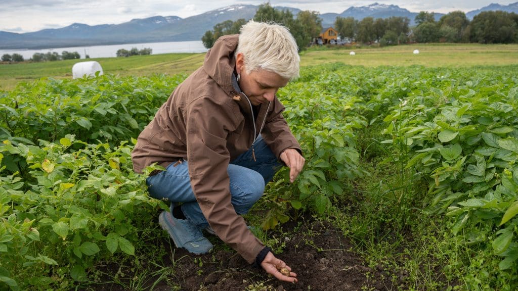 Bilde tilhørende arrangement Hva skal vi spise hvis det blir krise?