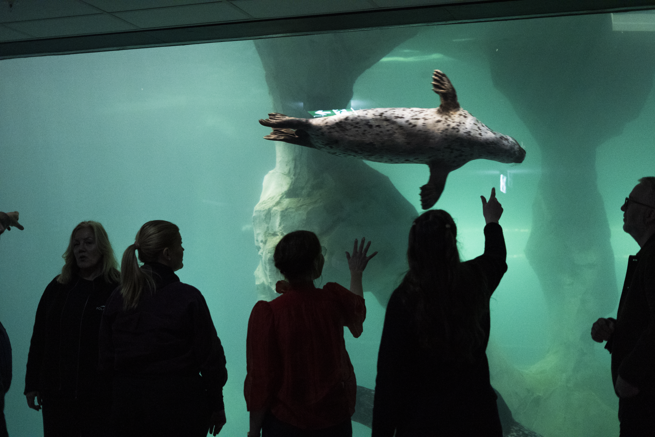 Gir elevene i Troms gratis undervisning om Arktis