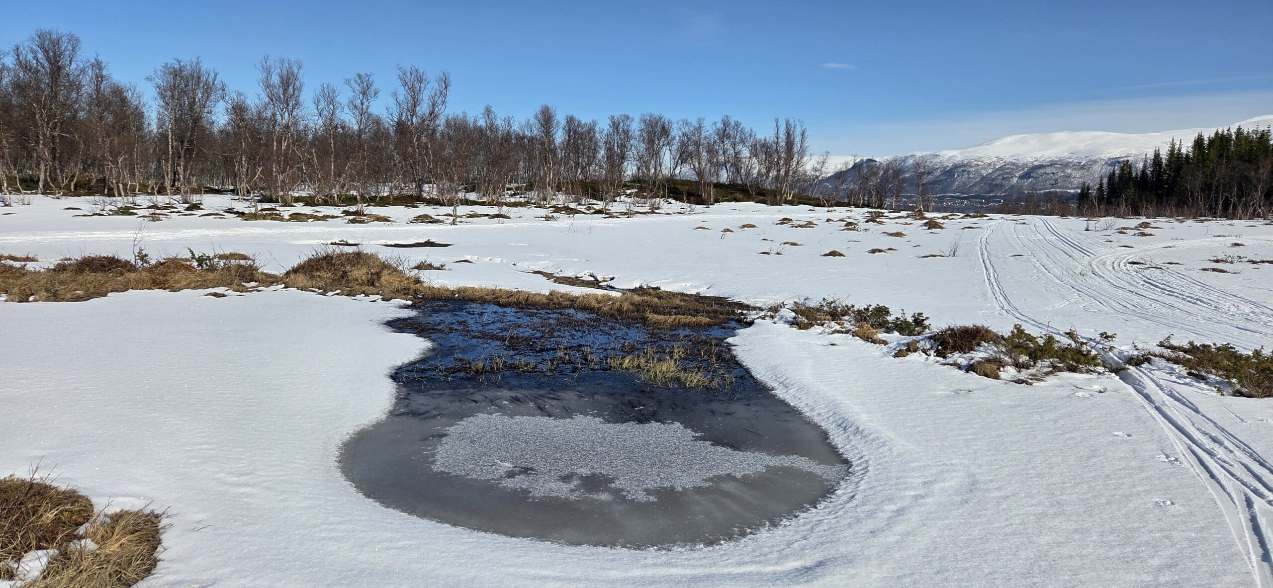 Renere luft og mindre is og snø bidrar til at Europa varmes opp dobbelt så raskt som resten av verden