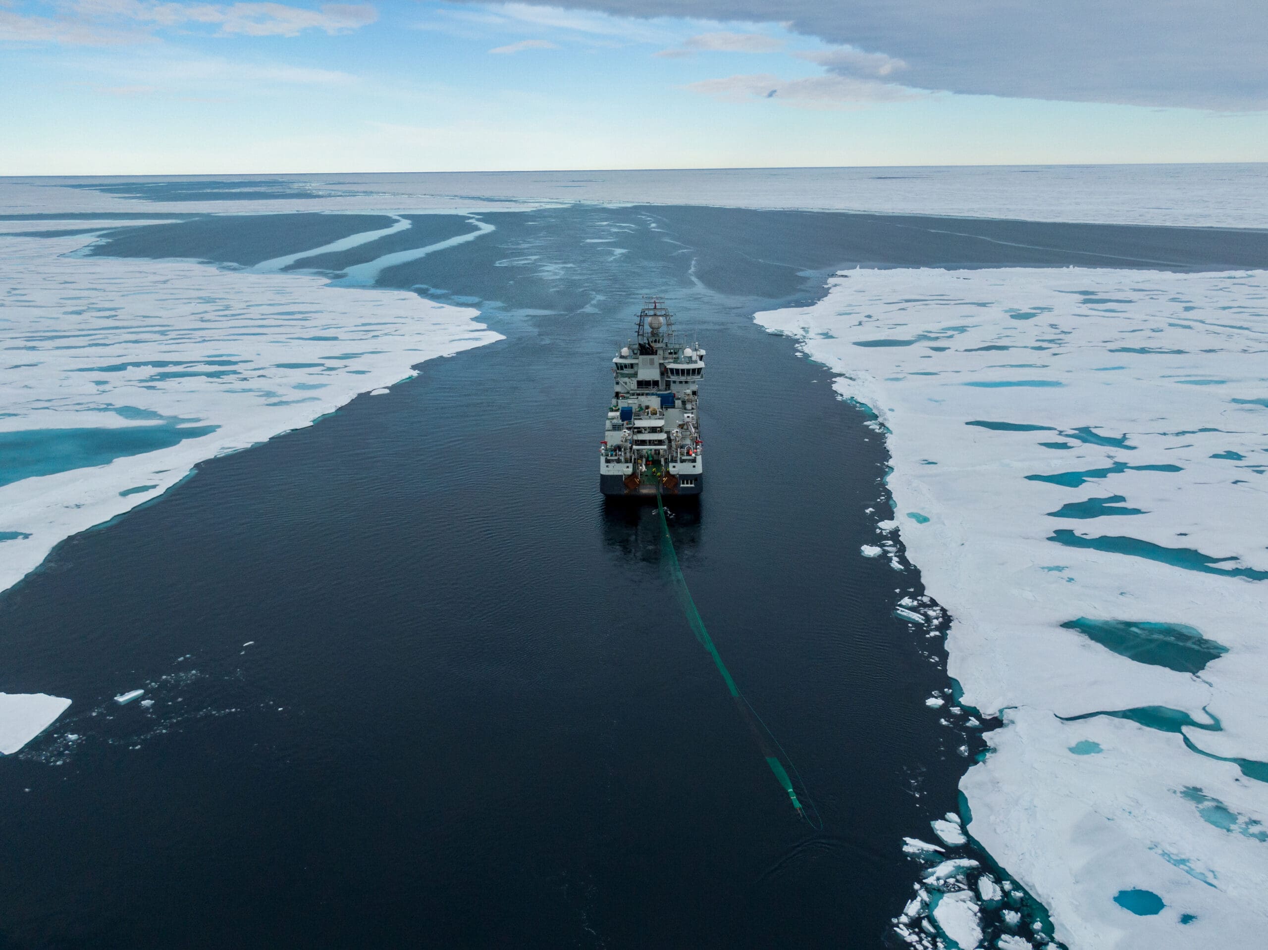 Ny studie: Nesten ingen fisk i Polhavet nord for 82°N