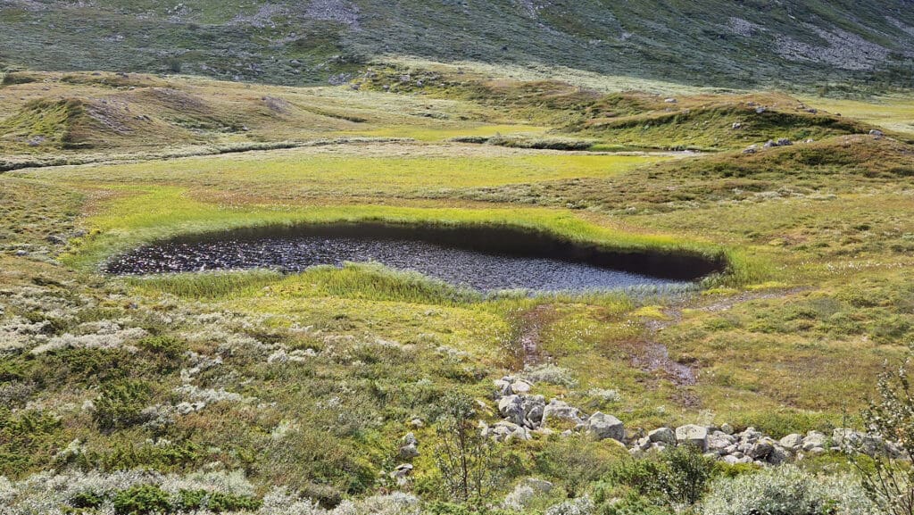 LAVDAS: Bedre kartlegging av norske våtmarker